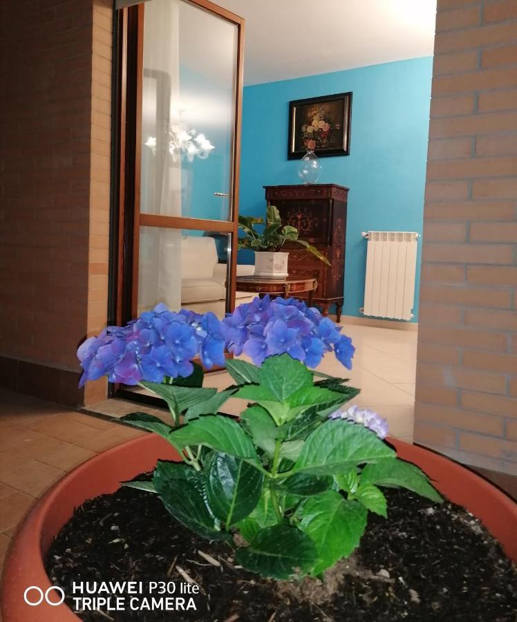B&Byanet'S Beautiful House Civitavecchia Kültér fotó
