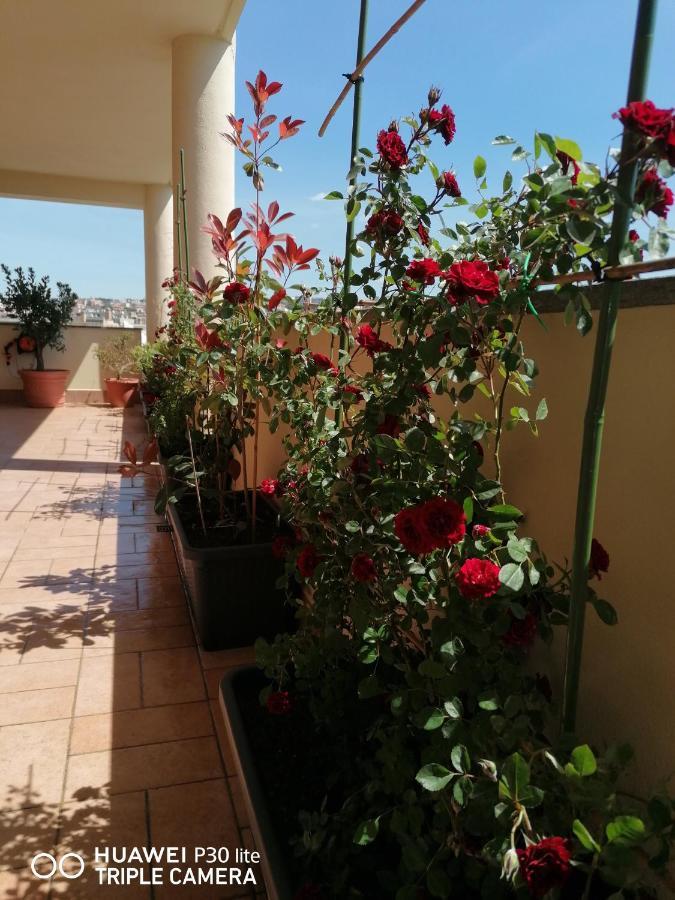 B&Byanet'S Beautiful House Civitavecchia Kültér fotó